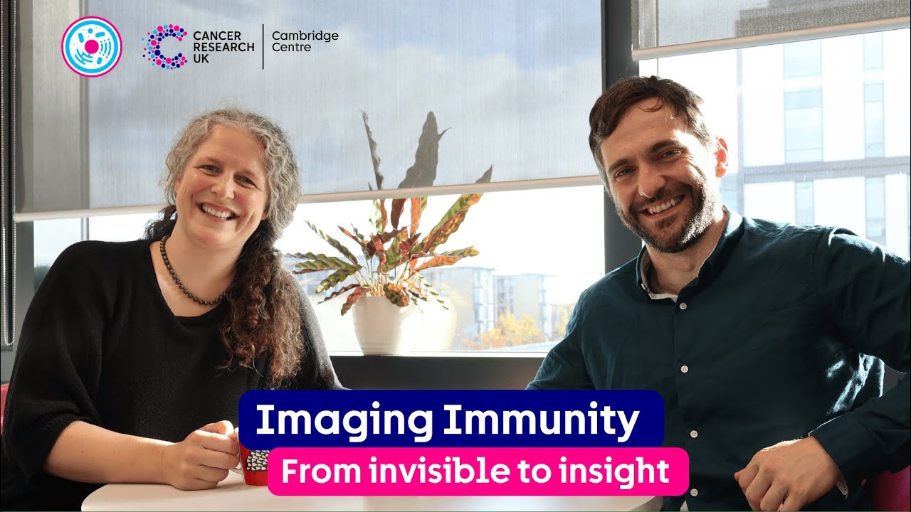 Imaging Immunity: from invisible to insights