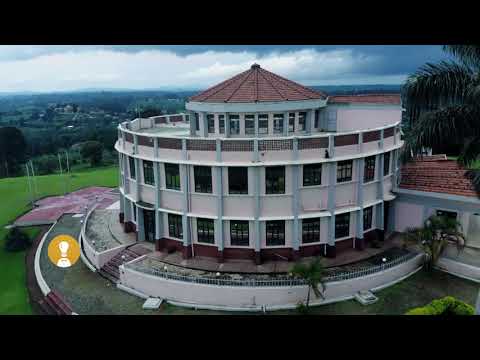 UM MINUTO PALÁCIO DO REINO DE TOORO