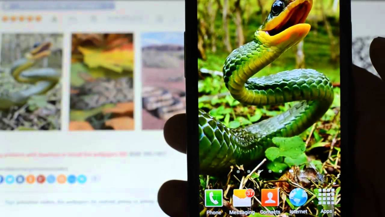 Poisonous Snakes HD Live Wallpapers for android free
