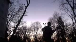 Spring's First Sunset (A Show Of, By and For the Birds) by Tripp Hewell