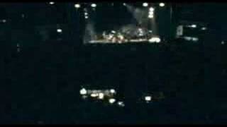 LOVEBUGS - BACK TO LIFE