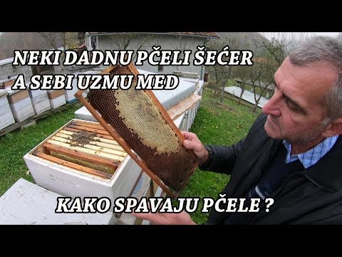 KOD PČELARA FERIDA