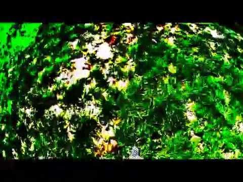 Martin Garrix ft Usher Don't Look Down (DJ Marke Remix)