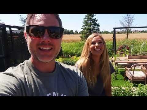 プライバシーフェンス用に最も早く成長する木を植える