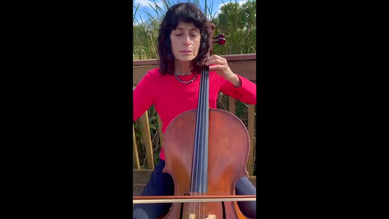Promotional video thumbnail 1 for Cello in the Springs