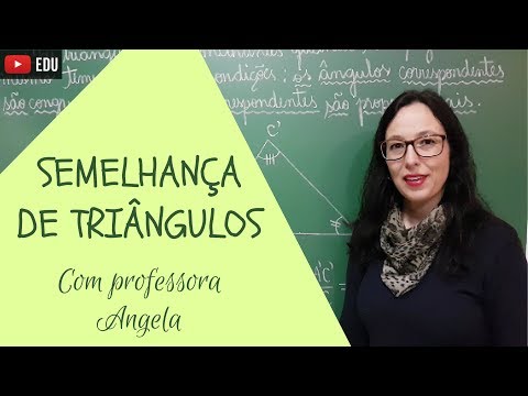 Similarity of Triangles - Professor Angela