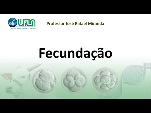 Fecundação