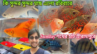 আজকে রবিবার শ্রীরামপুর হাটে কি কি এলো |  Aquarium Fish Haat | Aquarium Fish Accessories | Aquarium 