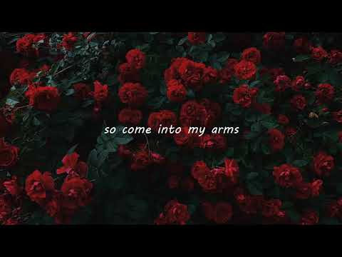 come into my arms - november ultra