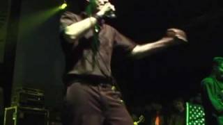 DROPKICK MURPHYS &quot;THE TORCH&quot; (LIVE)