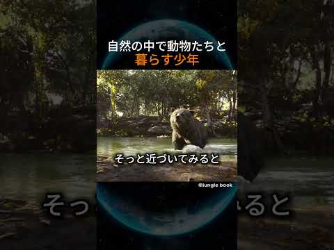 自然の中で動物たちと暮らす少年