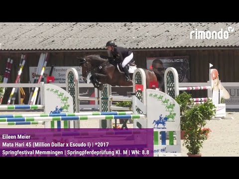 BuCha-Quali Springfestival Memmingen – Eileen Meier & Mata Hari 45