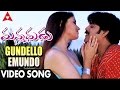 Gundello Emundo Video Song Manmadhudu Video Songs Nagarjuna Sonali Bendre Anshu