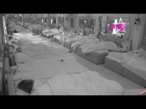 Hitno saopštenje Velikog šefa: Ozbiljno kaznio zadrugare zbog kršenja strogog pravila