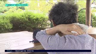 [G1뉴스] 입추 지나도 방심 금물..“당분간 무더위 지속”