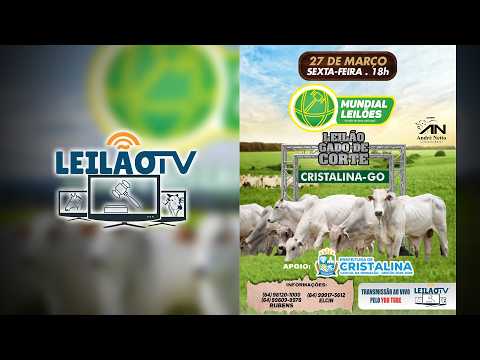 LEILÃO AO VIVO - MUNDIAL LEILÕES A MÃO DE DEUS ESTA AQUI - CRISTALINA GO - 27/03/2026