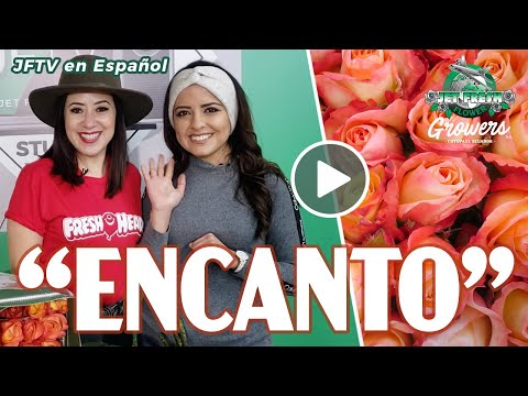 JFTV: Jet Fresh Flowers Growers: Encanto con Melisa y Juanita en Español
