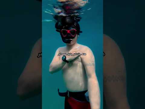 💥 سمكة صغيرة تضع الجميع في ورطة🐟