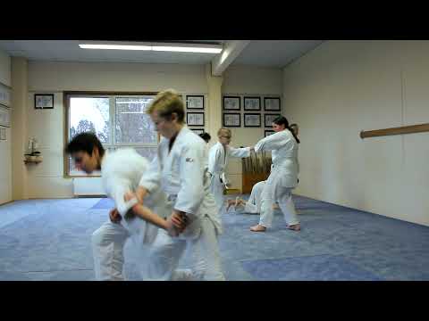 Aikido in der TSV Reinbek