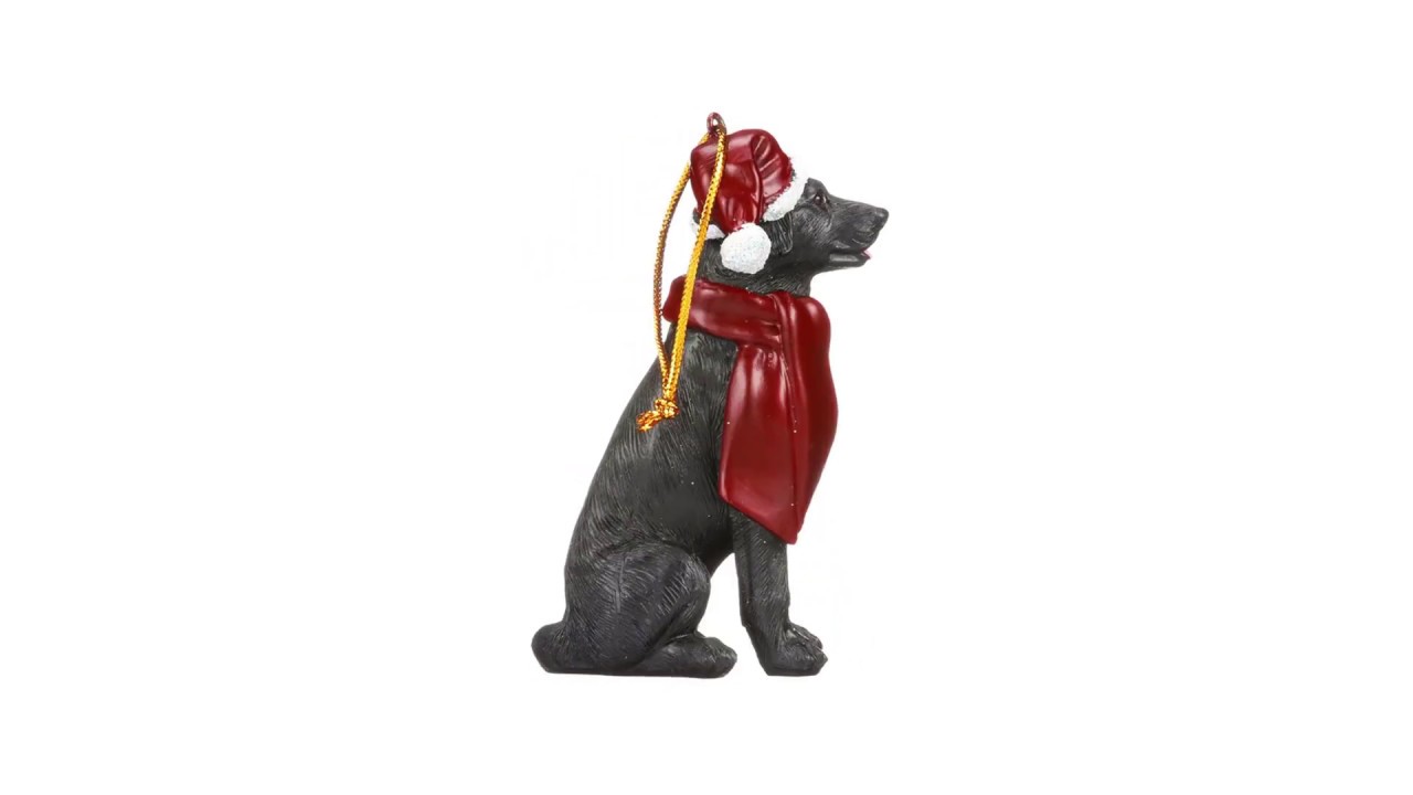 Black Labrador Retriever Holiday Dog Ornament Pet Decoration Video