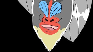 soritexia