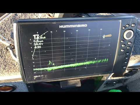Humminbird Mega Live Sensitivity