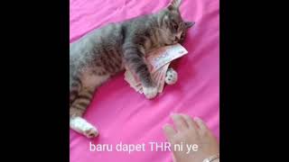 Download lagu Baru Dapat THR || status wa lucu || story wa lucu mp3 Download lagu Baru Dapat THR || status wa lucu || story wa lucu mp3