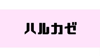 ハルカゼ/さとうささら