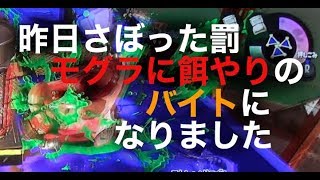 昨日さぼった罰モグラに餌やりのバイトになりました【スプラトゥーン２】タツジンバイトの日常