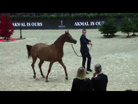 Memories of Paris 2019 - World Championships - Part 12 - Championship - Junior Female