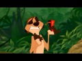 Hakuna Matata Zulu Partial LYRICS HD