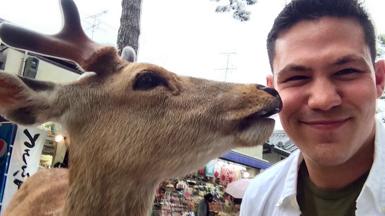 YouTube Video Thumb Why Should You Apply?