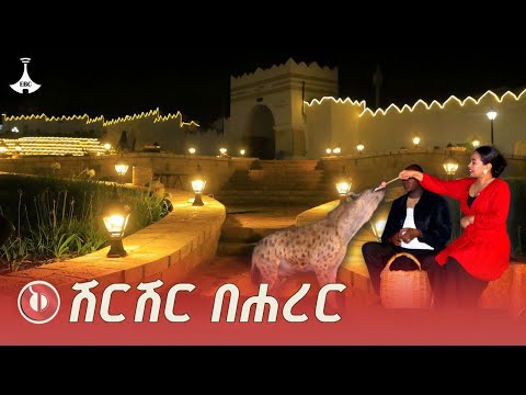 የሺህ ዓመታት ታሪክ በአዲስ ውበት ሐረር |harar corridor ETV | EBC | EBCDOTSTREAM