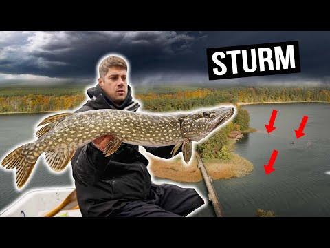 HECHTANGELN bei STURM! Wir mussten es einfach probieren