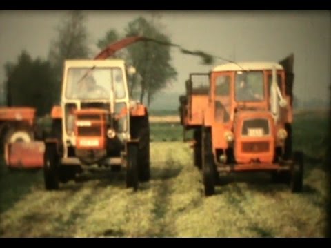 Loonw. Vandenameele - Wervik