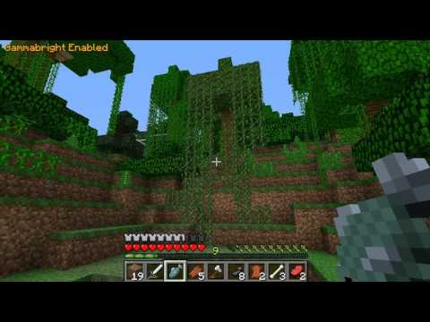 EPIC Minecraft Villagecraft Nether Adventure!