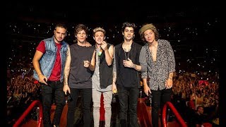 Video thumbnail of "You & I - One Direction Where We Are 2014 at San Siro"