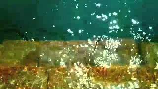 WHEN YOU AND I de Léa Bulle-Karlson