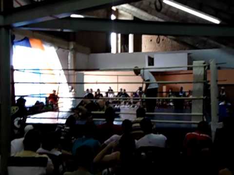 Platinum Fight julio maia saab