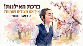 הסוד שמאחורי ברכת האילנות: איך אנחנו מצילים נשמות? 🌳✨ ● הרב מאיר פנחסי