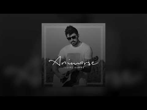 Felipe Biondo - Animarse