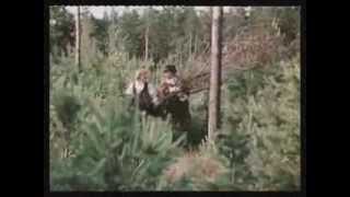 Российская дорога (песня из к/ф "Гардемарины, вперед!")