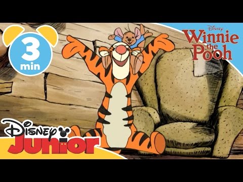 The Mini Adventures of Winnie the Pooh | The Super Bounce | @disneykids