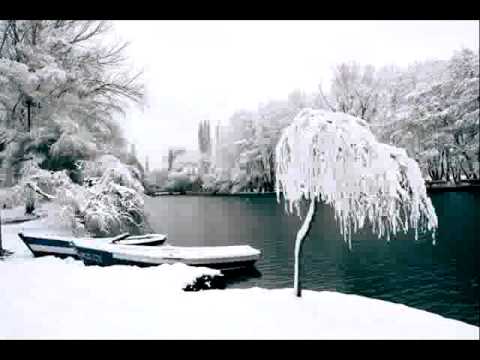 olsi sefaj ft Rebeli aKa eXheli-per tropojen