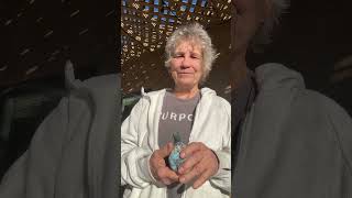 Morning Zip Up for Protection and To Get Grounded: Day 5 Break the News Cycle Reset