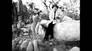 Captain Beefheart &amp; His Magic Band - Semi-Multicoloured Caucasian (Version 1)