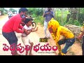 Peddapuli Comedy Video 2021 Peddapuli Dance Muharram Festival CVS