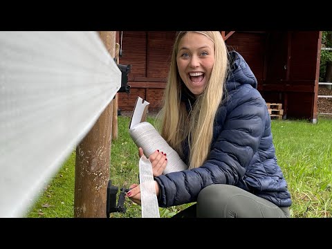 Auto weg!! Jetzt muss Hella Kutsche fahren.. Vlog 25