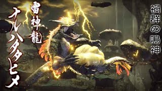 【モンハンライズ】ついにナルハタタヒメに挑戦！