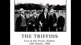 The Triffids - Live at the Tivoli. 10.3.88. Part 2